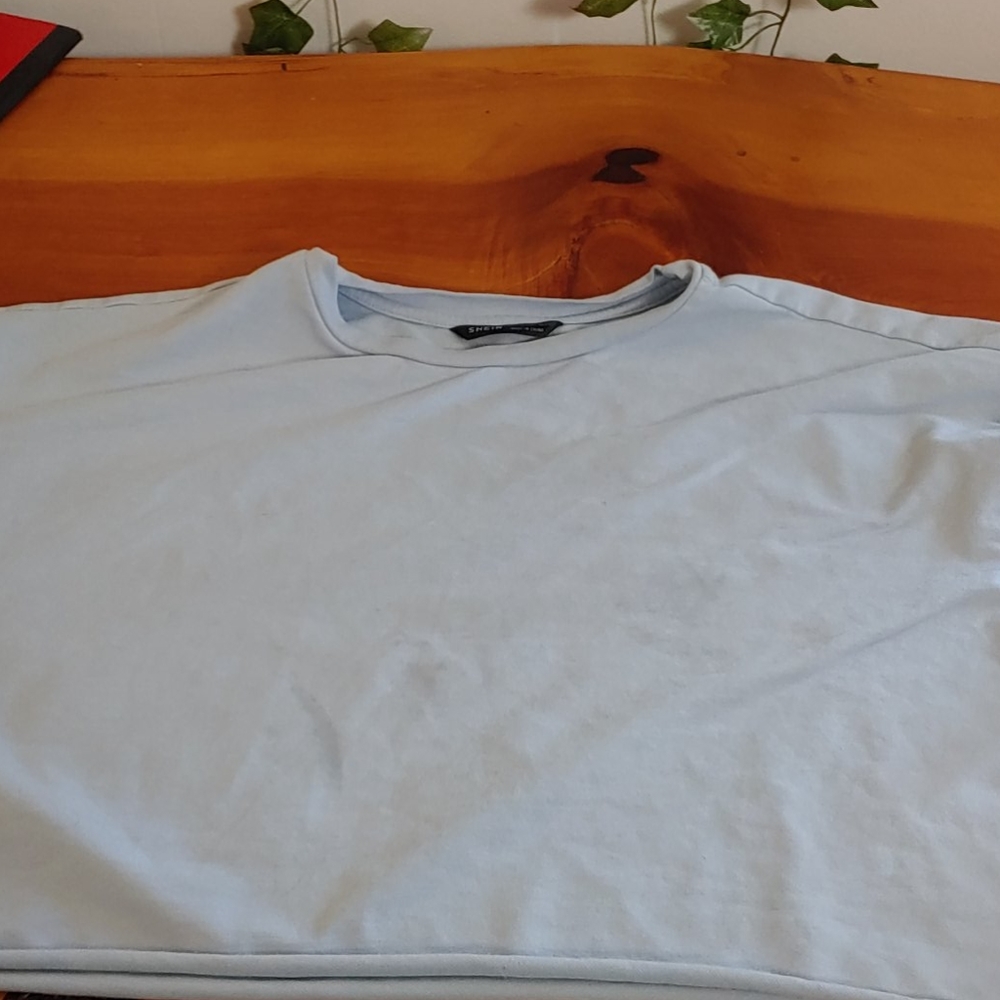 Light blue crop top t